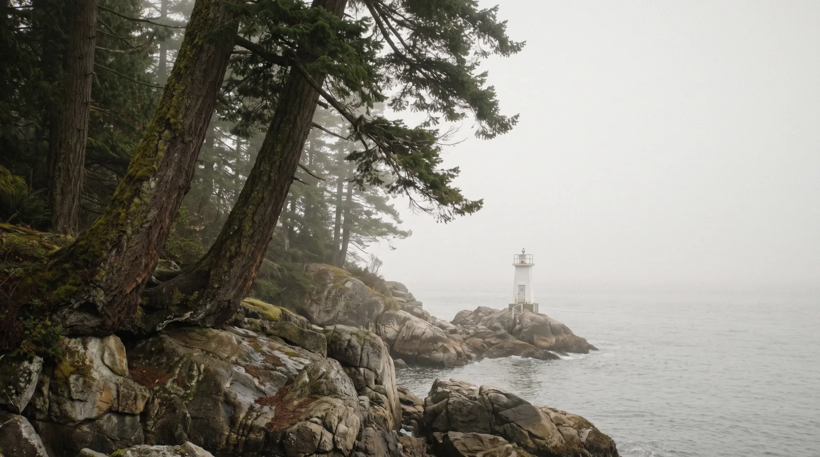 The Point Atkinson lighthouse seen from the granite bluffs of Lighthouse Park in West Vancouver, with old-growth Douglas fir above the shoreline