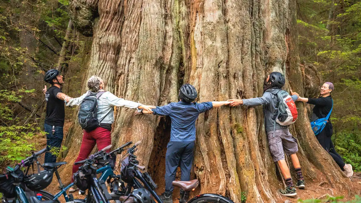 Cyclists riding the Stanley Park seawall past the totem poles on a Stanley Park bicycle tour in Vancouver
